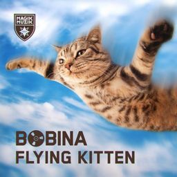 Flying Kitten (Original Mix)